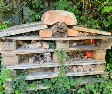 photo of large bug hotel, instructions below
