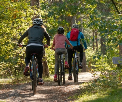 family cycling