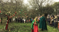 Wassail in orchard