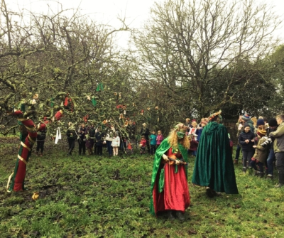 Wassail in orchard