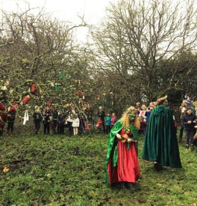 Wassail in orchard