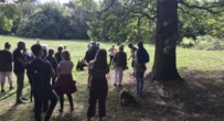 heritage tree walk 2022