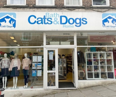 image Bath Cats and Dogs Home