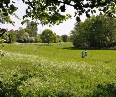image Rodden Meadow