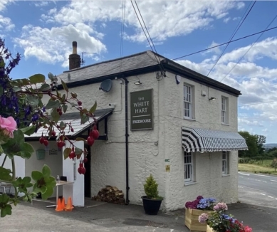 image The White Hart