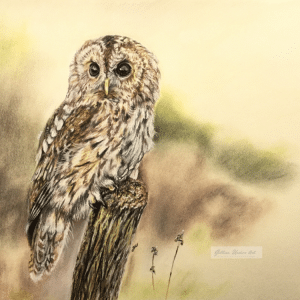 image Gillian Ussher Art