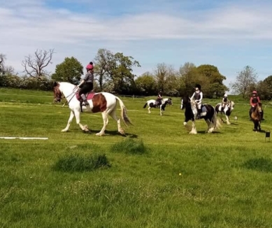 image Divoky Riding School