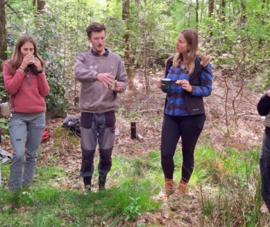 image Forest Bathing