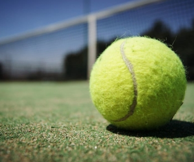 image Free family tennis