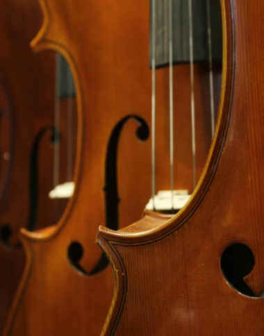 Frome Cello Club