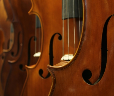 Frome Cello Club