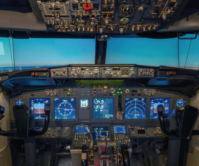 image Full Motion Flight Simulator Experience