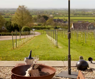 image Wraxall Vineyard