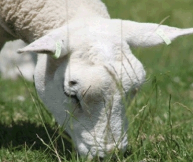 image Gilcombe Farm