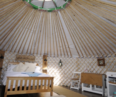 image Glamping on the Hill