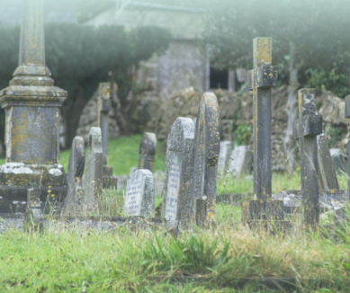 image Frome Dissenters’ Cemetery