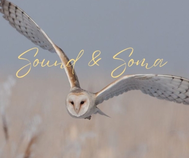 image Sound & Soma- a mystical journey into the world of your voice
