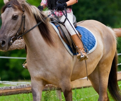 image Divoky Riding School