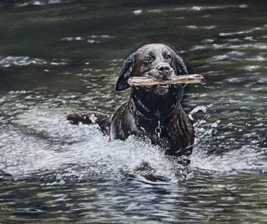 image Gillian Ussher Art