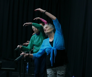 image Adult ballet for the over-55s – Silver Swans